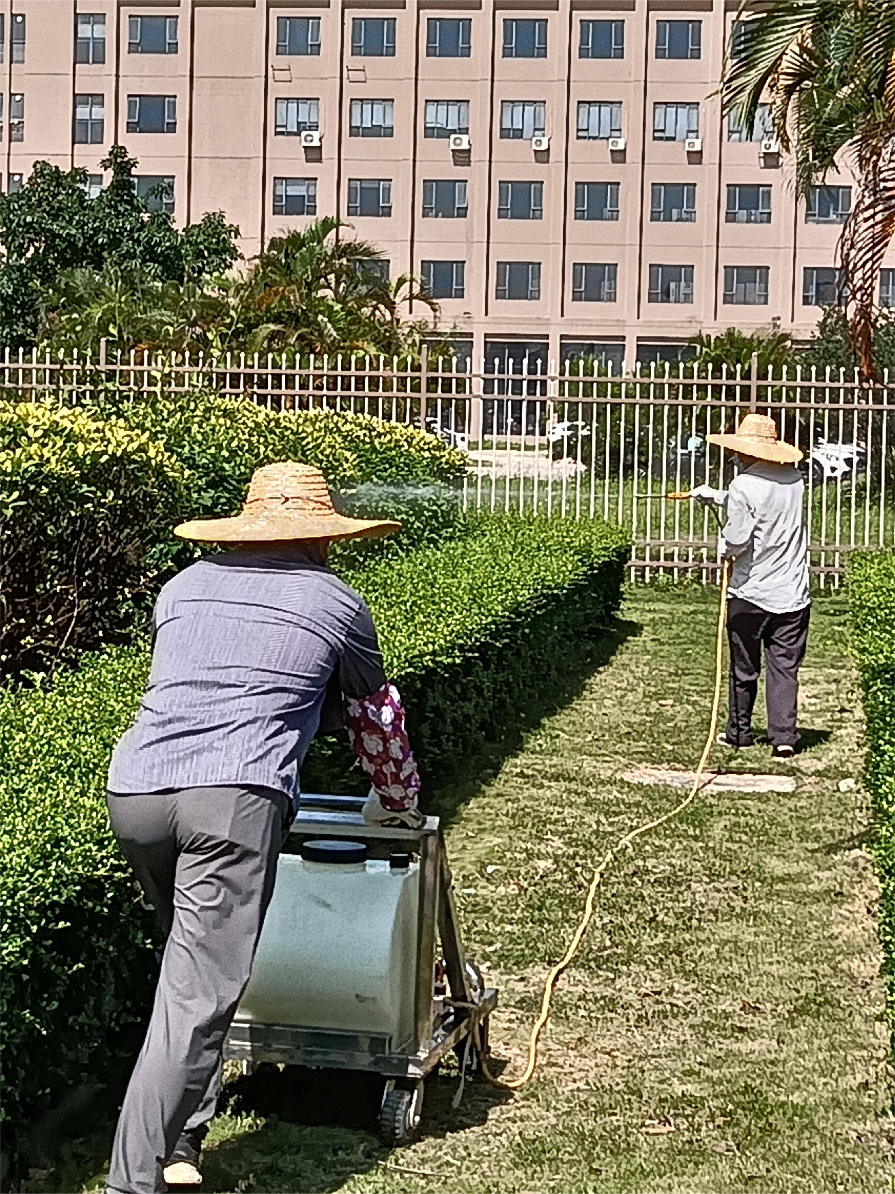 微珠海新建房屋白蚁预防工程-珠海格兰云天清洁灭虫技术有限公司g