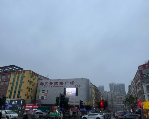 坦洲十四村消杀公司 坦洲十四村病媒生物防