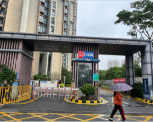 珠海专业灭鼠公司 珠海消杀除四害公司