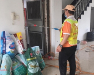 别墅如何预防白蚁入侵-珠海白蚁防治公司与