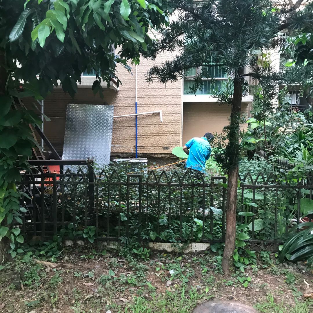 珠海白蚁防治/杀虫灭鼠-专业灭蟑螂-珠海格兰云天清洁灭虫技术有限公司(图2)