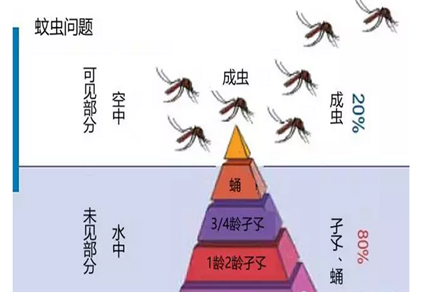 幼儿园室内有蚊子怎么办-珠海格兰云天清洁灭虫技术有限公司(图3)