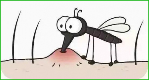 幼儿园室内有蚊子怎么办-珠海格兰云天清洁灭虫技术有限公司(图2)