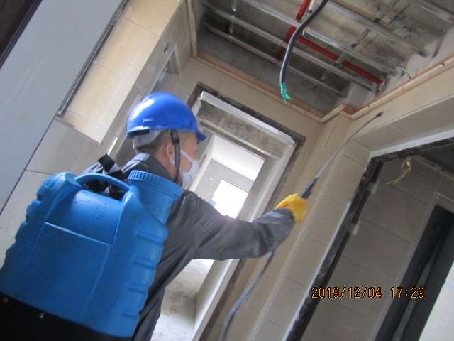 1588243558650296.jpg IMG_0850.JPG