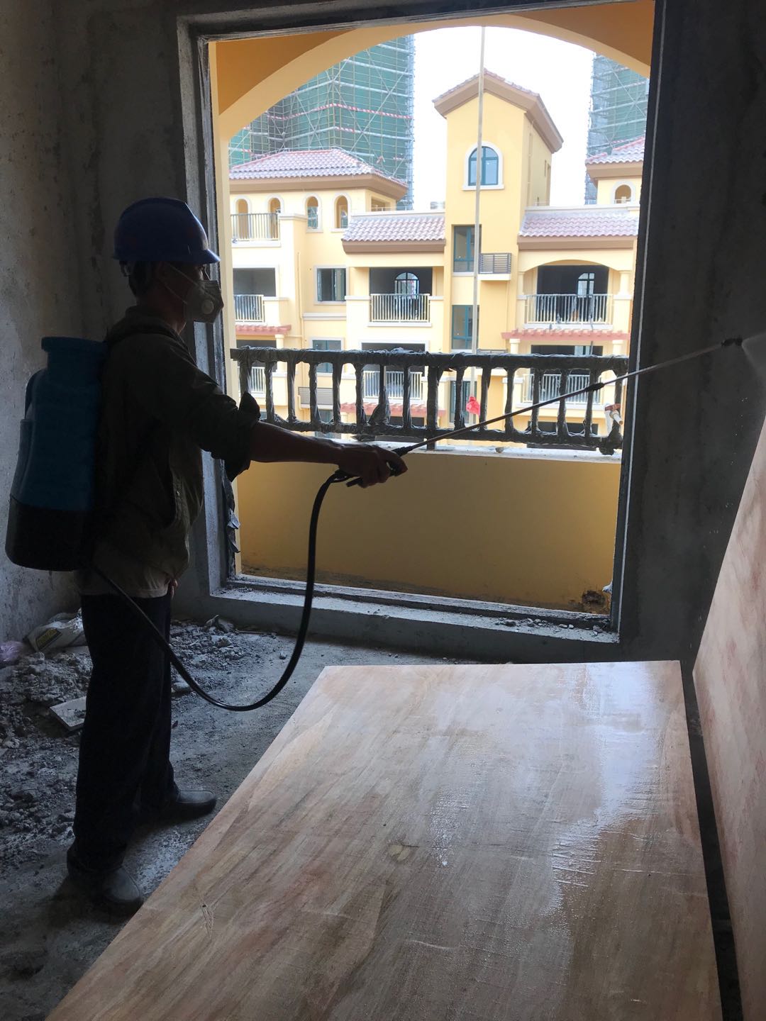 金湾正确白蚁防治技术 金湾正确白蚁防治技术