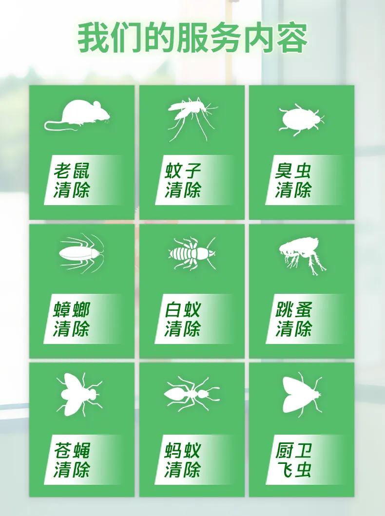 井岸白蚁除老鼠 井岸杀蟑螂 井岸消杀蚊蝇上门公司电话价格多少