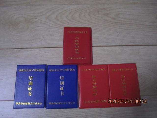 珠海白蚁防治公司怎么选?正规白蚁防治公司具备什么条件