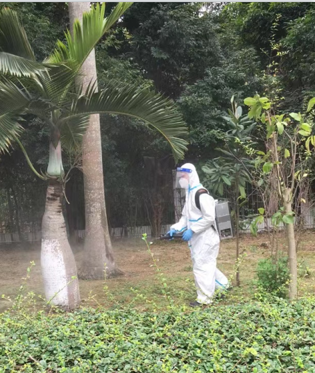 珠海灭杀红火蚁 珠海消杀除四害 珠海灭杀臭虫-珠海格兰云天清洁灭虫技术有限公司(图1)