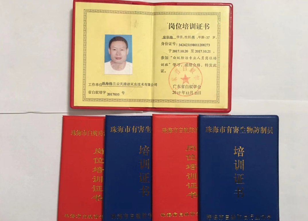 珠海新建房屋白蚁预防技术探讨 珠海灭杀白蚁公司-珠海格兰云天清洁灭虫技术有限公司(图5)