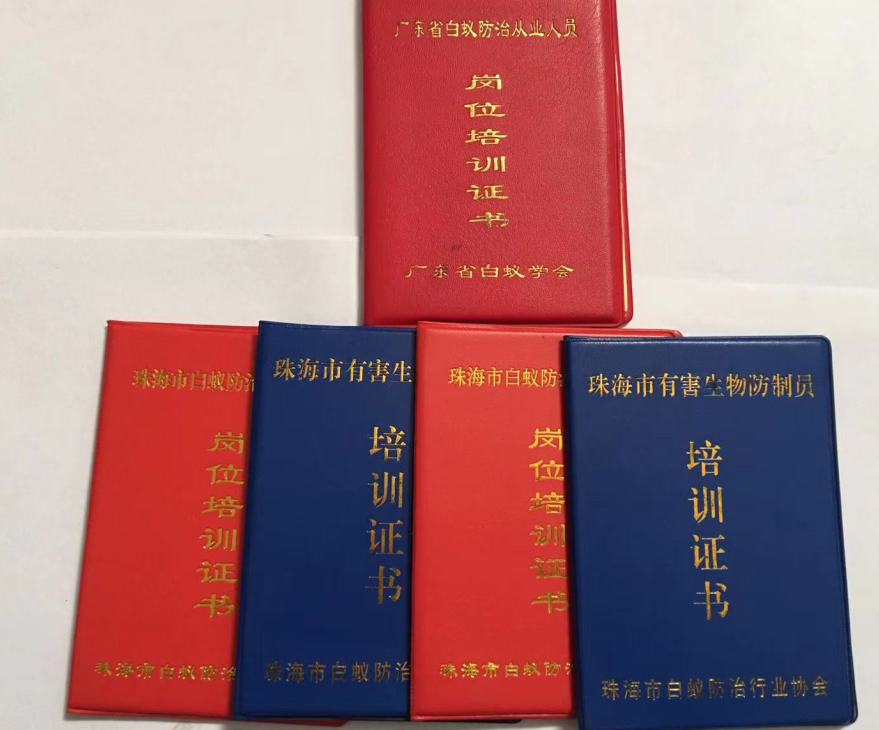 珠海怎样灭杀老鼠 珠海装修白蚁预防-珠海白蚁防治公司-珠海格兰云天清洁灭虫技术有限公司(图5)
