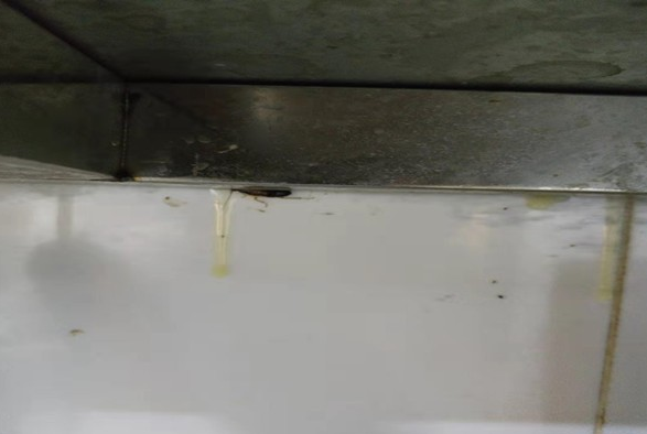珠海 金鼎 金湾 唐家 红旗 横琴 斗灭 除四害灭蟑螂厂家- 格兰云天灭虫技术(图2)