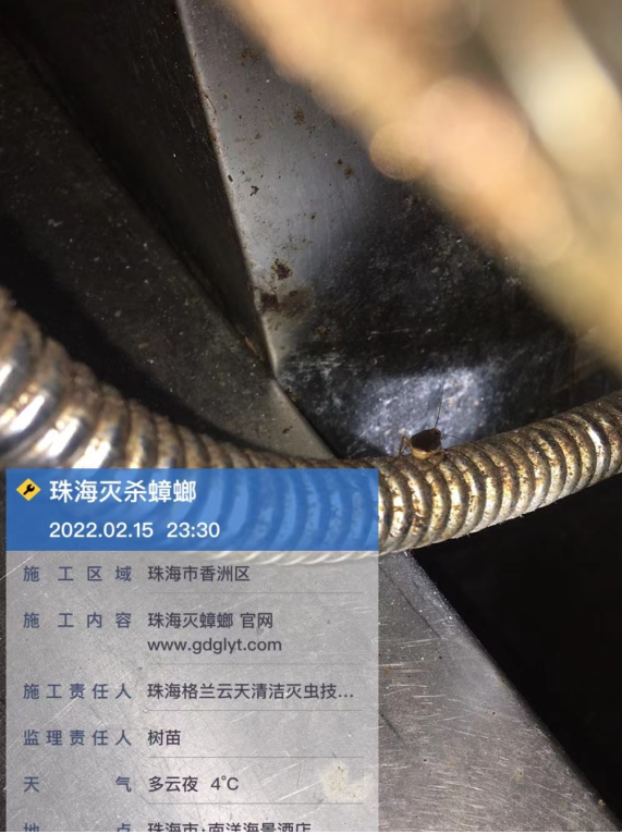 1-220216204145R1.png