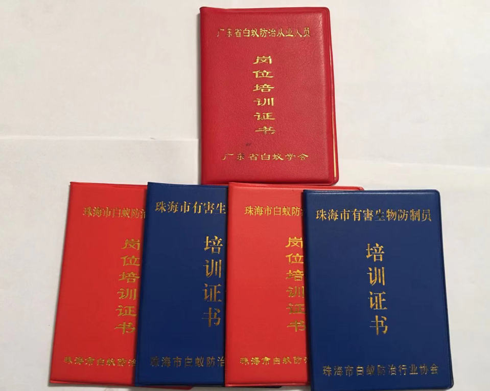 1-22031020142MV.png