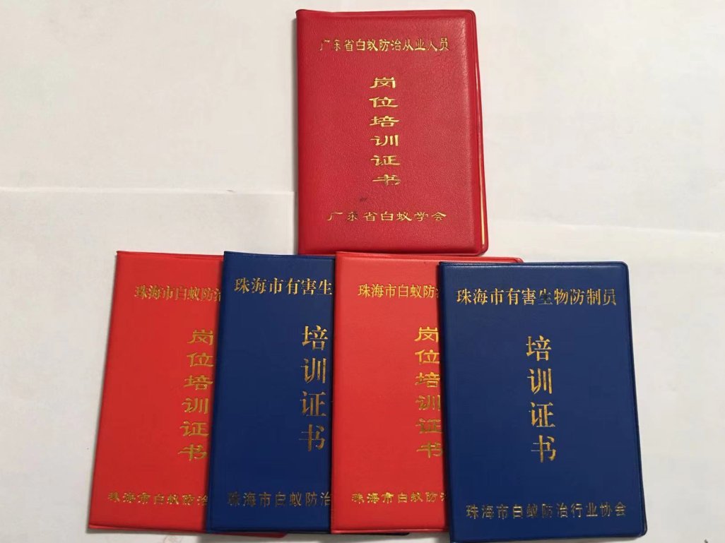 珠海灭白蚁 珠海白蚁防治价格 防治白蚁的最佳方法 珠海市白蚁防治 -珠海格兰云天清洁灭虫技术有限公司(图2)