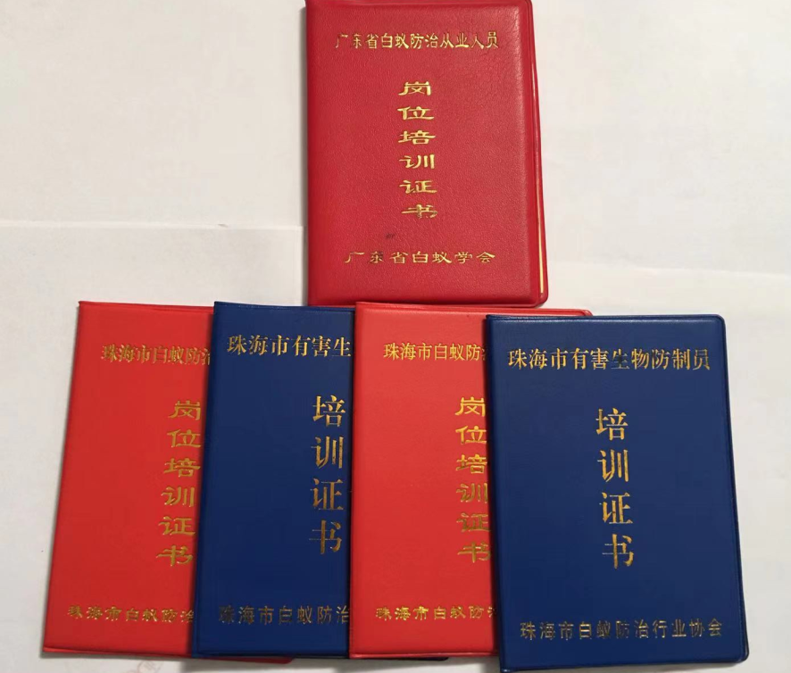 高新区怎样做好白蚁防治技术工程 《珠海格兰云天清洁灭虫技术有限公司》(图3)
