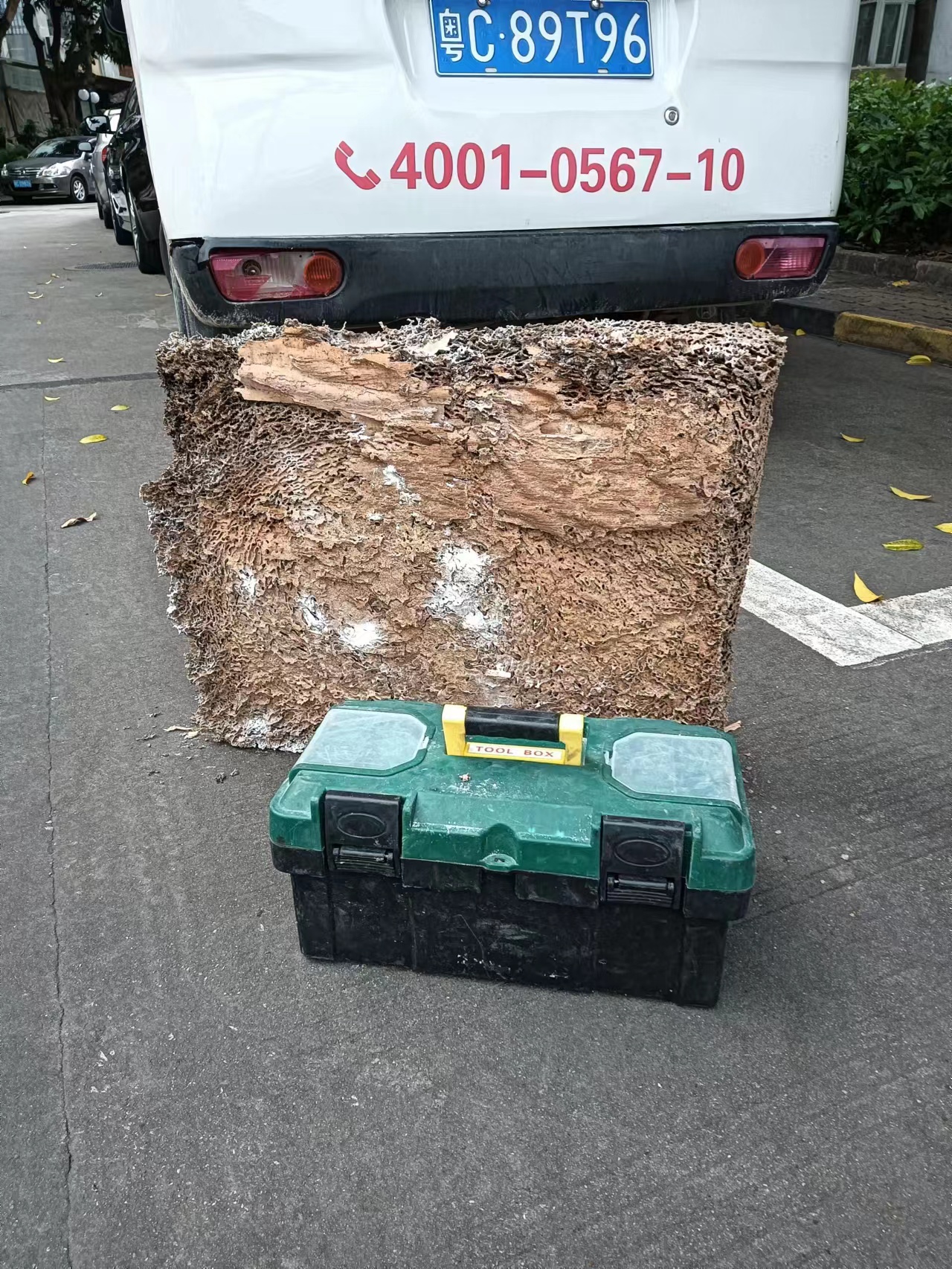 金湾白蚁防治中心 金湾白蚁防治所-珠海格兰云天清洁灭虫技术有限公司