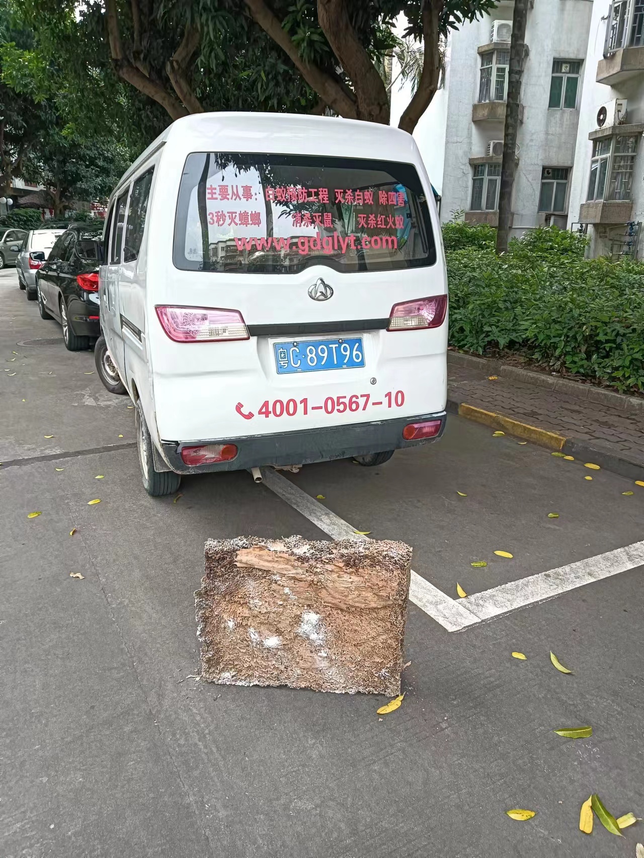 联湾白蚁防治 连湾白蚁预防 连湾杀虫灭鼠-珠海格兰云天清洁灭虫技术有限公司