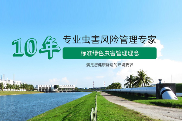 黄圃优质除蚊子公司