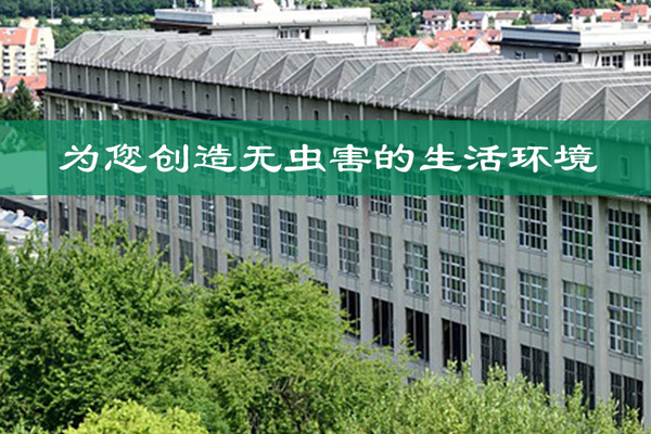 中山优质灭白蚁价格