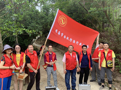 珠海专业级白蚁防治团队