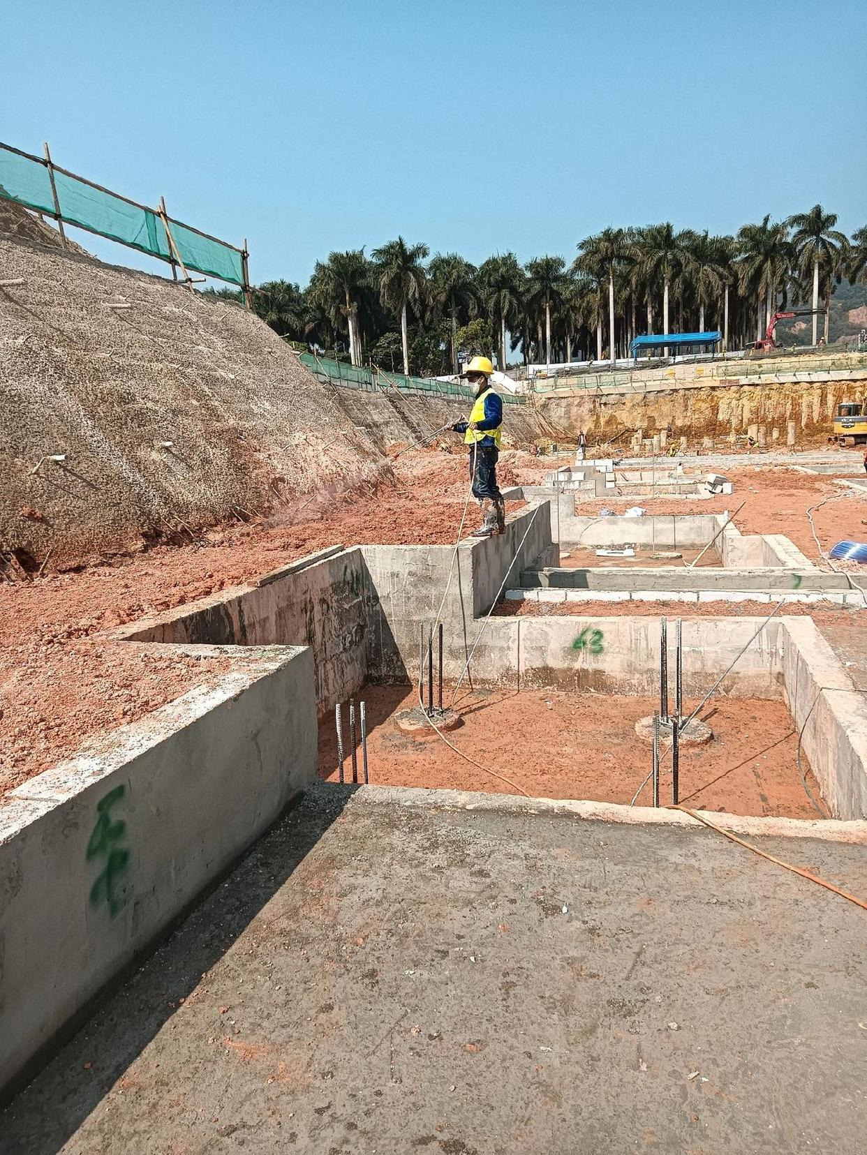 珠海白蚁防治公司