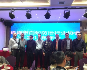 斗门白蚁防治 斗门白蚁预防 斗门消杀灭除