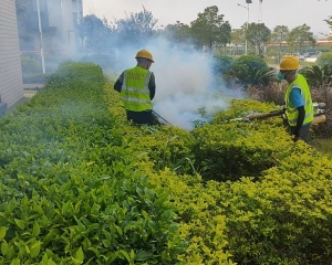 珠海小区杀虫灭鼠方案