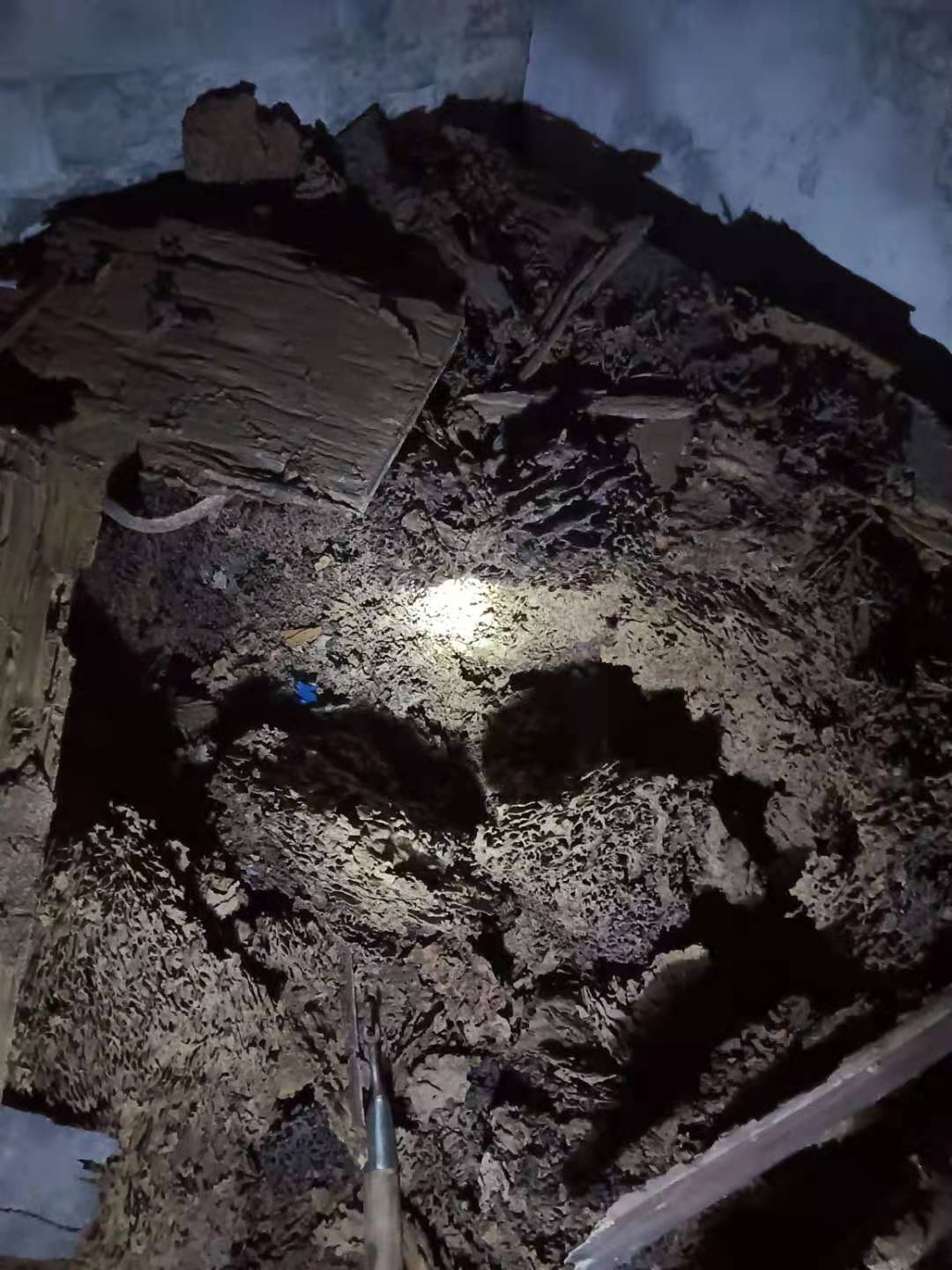 1613118417129413.jpg 1613118417129413.jpg