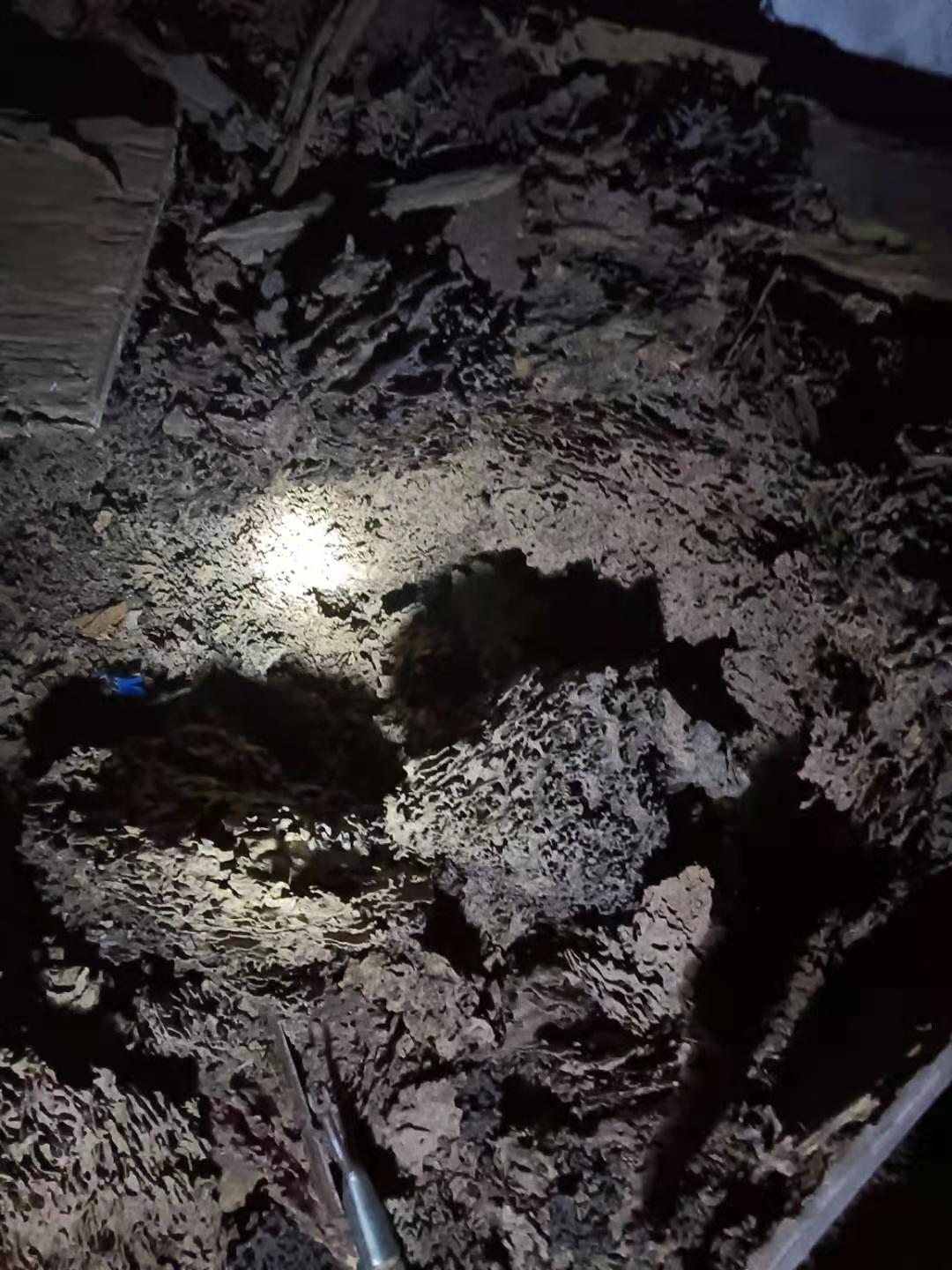1613117405112734.jpg
